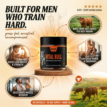 MOVAN - VITAL BULL BEEF ORGAN SUPPLEMENT FOR MEN