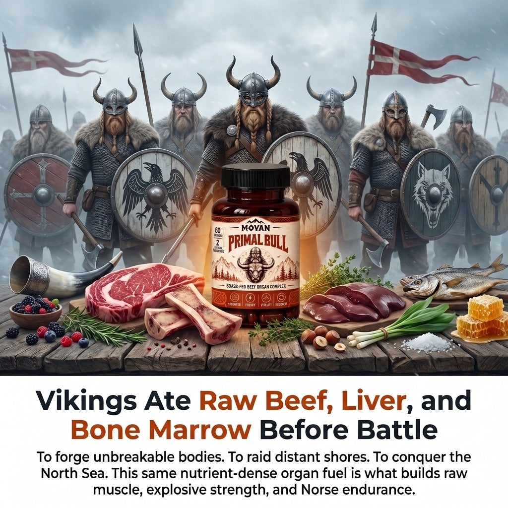MOVAN - THE ORIGINAL PRIMAL BULL™
