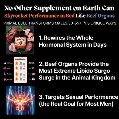 MOVAN - PRIMAL BULL DRIVE SUPPORT