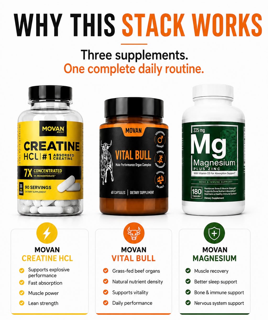 DAILY PERFORMANCE STACK