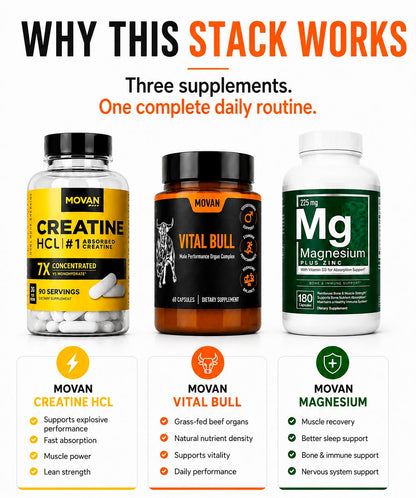 DAILY PERFORMANCE STACK