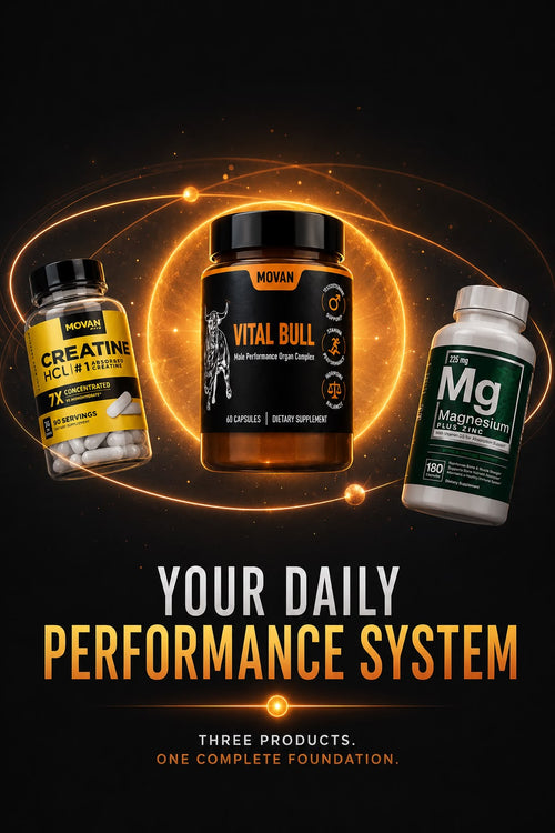 DAILY PERFORMANCE STACK