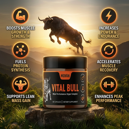 MOVAN - VITAL BULL BEEF ORGAN SUPPLEMENT FOR MEN