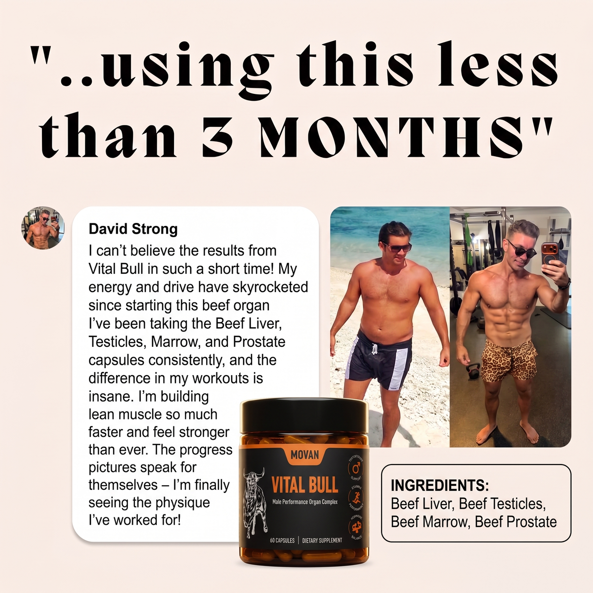 MOVAN - THE ORIGINAL VITAL BULL™
