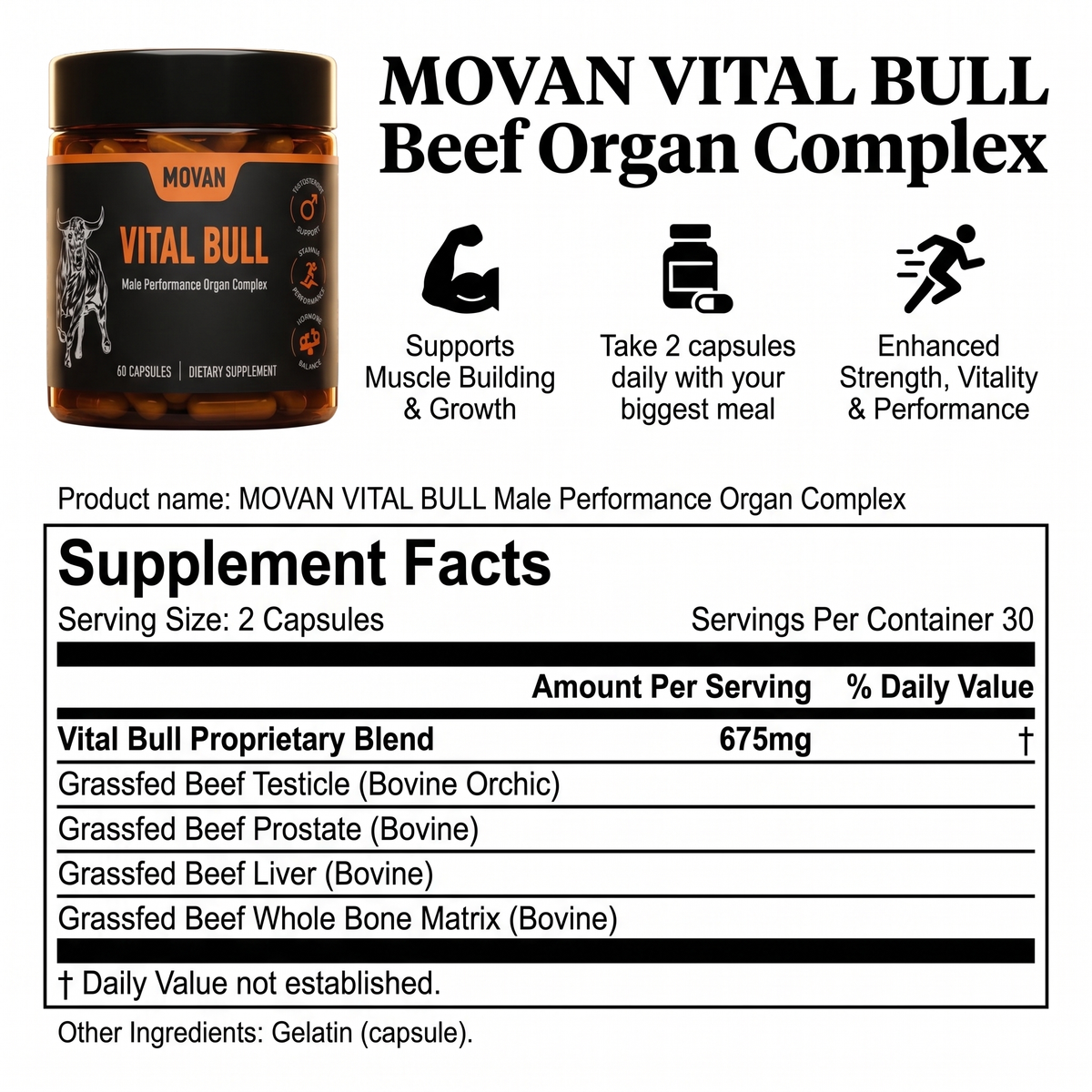 MOVAN - THE ORIGINAL VITAL BULL™