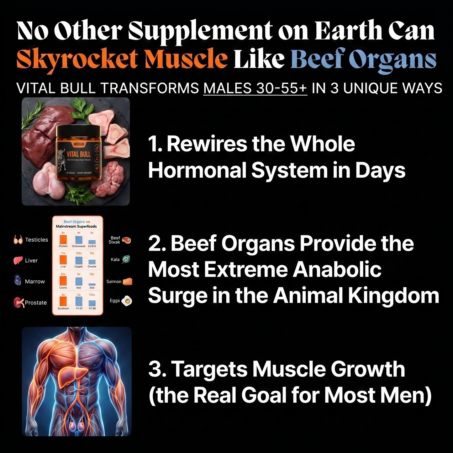 MOVAN - THE ORIGINAL VITAL BULL™