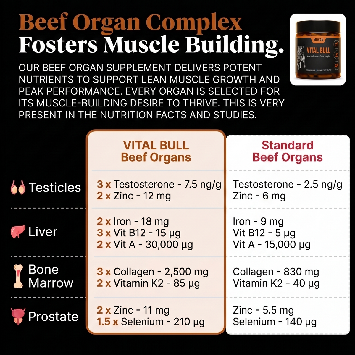 MOVAN - THE ORIGINAL VITAL BULL™